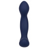 CalExotics Viceroy Stimulateur de prostate Expert Probe Viceroy 10 x 2.5cm